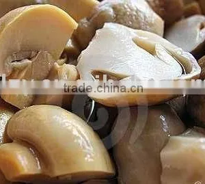 Wild Canned Mushroom thumbnail-1