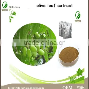 Hot Selling Olive Leaf Extract in Herbal Extract thumbnail-1