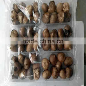 China Black Single Clove Garlic thumbnail-2