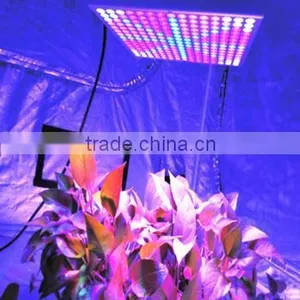 14w Led Grow Light With 225pcs 3528 SMD Best for Plant Factory thumbnail-1