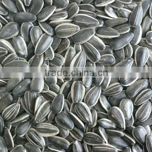 Sunflower Seeds 5135 thumbnail-1