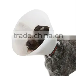 Veterinary Elizabeth Collar thumbnail-1