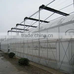 China Factory, Anti Aphids Insect Protection Net thumbnail-1