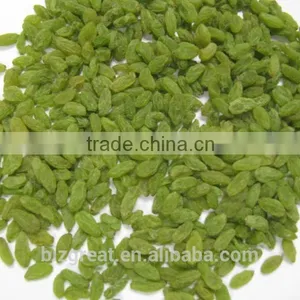 Air Dried AD Green Raisin With Factory Price thumbnail-6