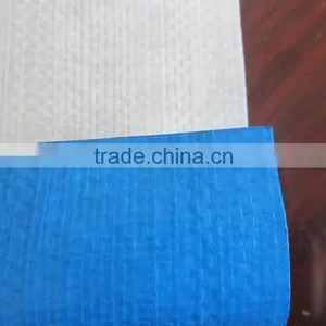 Blue/white Covering pp Tarpaulin - Plastic Canvas, PE Tarpaulin thumbnail-1