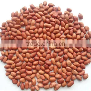2015 Crop Red Skin Peanut Kernel 50/60 thumbnail-1
