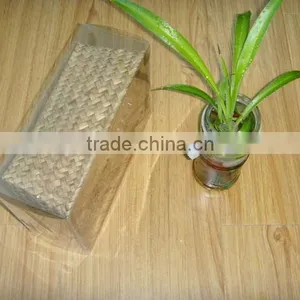 Clear PET 0.4mm Folding Box With Blister Insert Tray thumbnail-1