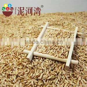 High Quality Chinese Hulled Oats, Naked Oats, Flat Oat Flakes, Rolled Oats Price thumbnail-4