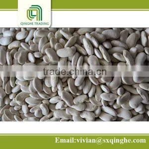 Price of White Kidney Beans, 2015 Flat White Kidney Beans thumbnail-1