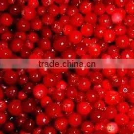 Frozen Lingonberry thumbnail-1