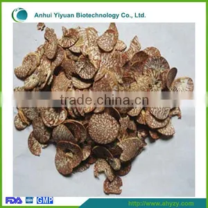 Supply High Quality Areca Catechu (Bing Lang) thumbnail-1