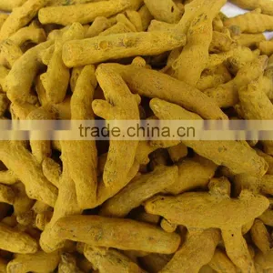Dried Turmeric Exporters/Turmeric Curcumin thumbnail-2