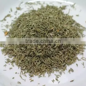Thyme thumbnail-1