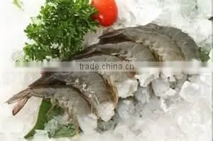 Frozen Shrimp Price thumbnail-1