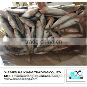 Price Frozen Sardine thumbnail-1