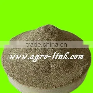 Manufacturer Supply High Quality 100% Pure Nature Seaweed Extract thumbnail-3