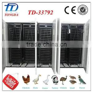 TD-33792 Large Automatic Chicken Incubator thumbnail-1