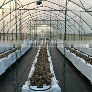 Polycarbonate Greenhouse Vegetable Seeds Greenhouse thumbnail-2