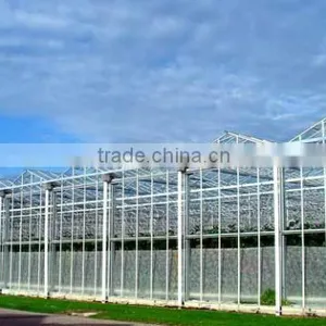Glass Greenhouse-3 thumbnail-2