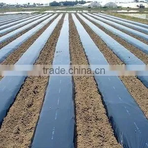 Agriculture Black Plastic Film thumbnail-1