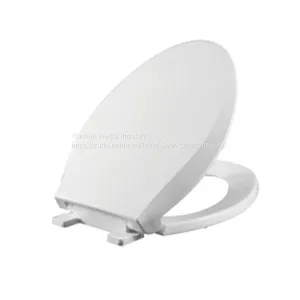 The Toilet Lid Thickens and the Toilet Seat Covers the Old Toilet Lid thumbnail-4