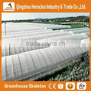 Heracles Trade Assurance Multi-span Greenhouse for Sale thumbnail-4