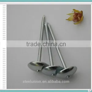 Galvanzied Roofing Nails /umbrella Head Roofing Nails thumbnail-5