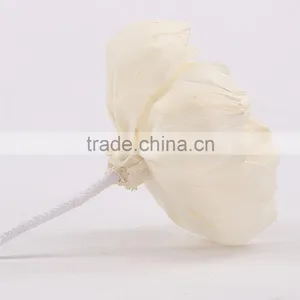 Handmade Fragrance Reed Diffuser Sola Wood Flower thumbnail-4