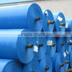 2015 HOT SALE Factory Price Tarpaulin Rolls For Sale, Tarp Camping, Tarpaulin For Sale thumbnail-2