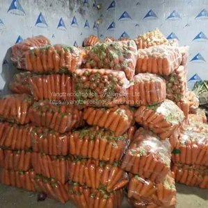Vegetable Cold Room thumbnail-1