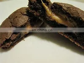 New Products Health Yummy Biscuit and Cookies for Children Snack Food thumbnail-3