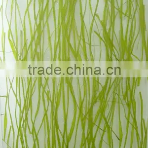 Polycarbonate Sheet thumbnail-1