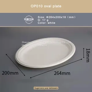 OP096 Oval Disk With Square Edges/Sugarcane Pulp is Degradable thumbnail-1