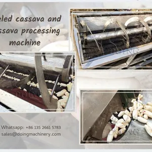 2026 New Arrival Cassava Processing Machine in Nigerian Warehouse Cassava Peeler for Garri/Flour Making Eplucheur De Manioc thumbnail-3