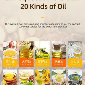 Hydraulic Oil Vegetable Oil Edible Oil Pressing Machine Cold & Hot Pressing Machine thumbnail-2