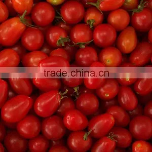 Jarred Cherry Tomatoes thumbnail-2