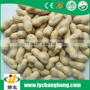Best Quality Peanuts in Shell 30kg or 50kg /bag for Sale With Lowest Price thumbnail-1