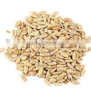 Chinese Sunflower Kernel thumbnail-1