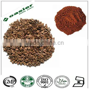Natural GMP Hot Sale French Pine Bark Extract Powder 95%opc thumbnail-1