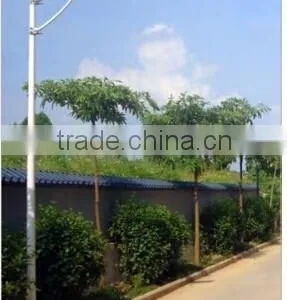 Effsun Competitive Price Solar Led Street Light All in One 60watt thumbnail-5