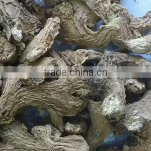 DRY GINGER thumbnail-1