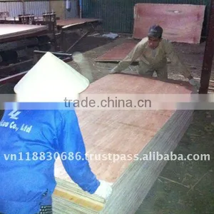 Canarium Plywood thumbnail-1