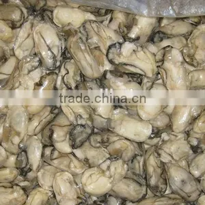 Frozen Fresh Oyster Meat Seafood Wholesale thumbnail-1
