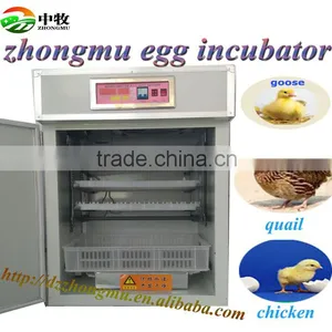 ZM-264 Egg Incubator 2016 Best Selling Full Automatic Egg Incubator thumbnail-3
