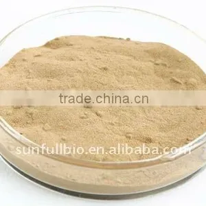 Bromelain 1200GDU /g Pineapple Extract thumbnail-1