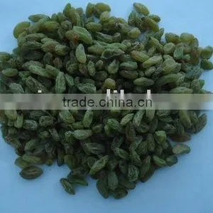 Seedless Green Raisin (Natural Dried) thumbnail-1