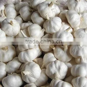 Snow White Garlic New Crop thumbnail-4