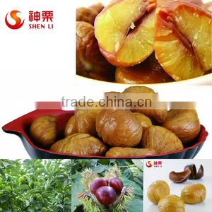 Best Quality and Price Raw Chestnuts From China thumbnail-5