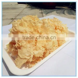 White Jelly Leaf Mushroom thumbnail-1