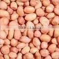 Groundnuts thumbnail-1